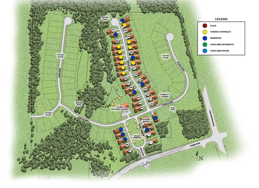 McConnell Green Site Plan | Active Adult 55 and over Community | Powder Springs 30127