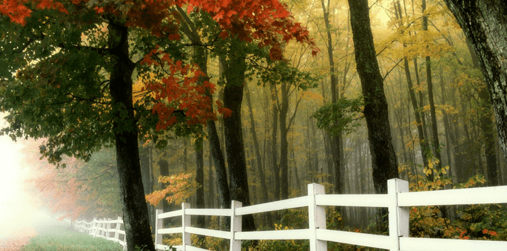 Lake Bridge Marietta | Active Adult 55+ Community | Nature Trail & Lake