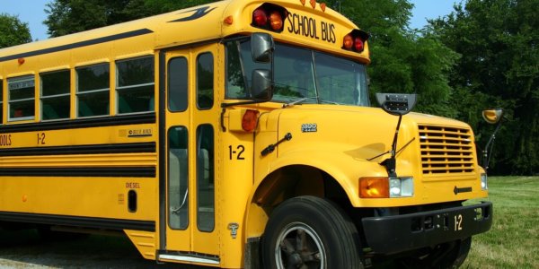 school-school-bus-stop