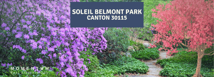 Soleil Belmont Park | Canton | 55 or Better Homes for Sale