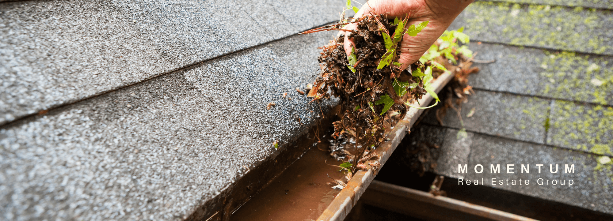 Home Maintenance | The Importance of Gutter Cleaning