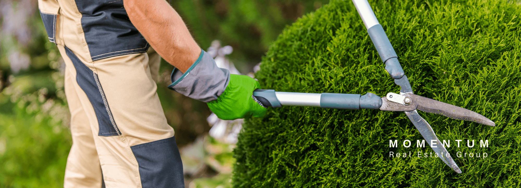 Home Maintenance | Keep Trees & Shrubs 2 Feet From Your Home